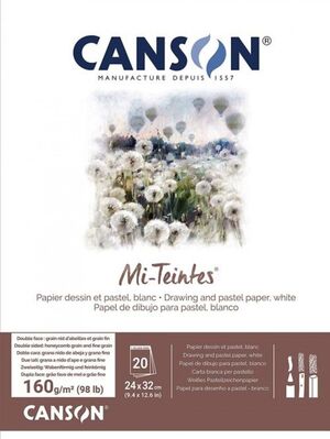 BLOC ENCOLADO CANSON MI-TEINTES 24X32CM 30H 160G BLANCO