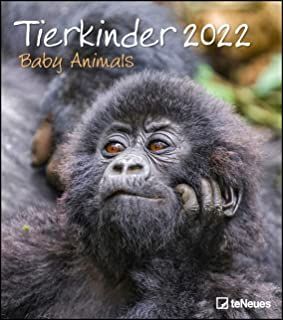 2022 BABY ANIMALS CALENDARS 30 X 34