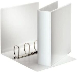 CARPETA CANGURO ESSELTE DIN A4 4A 60MM MIXTAS