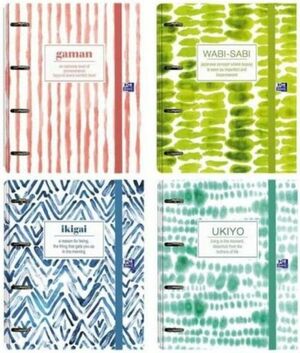 CARPEBLOC EUROPEANBINDER A4+ CUAD. 5X5 SURTIDOS JAPANDI