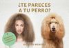 TE PARECES A TU PERRO? JUEGO DE MEMORIA
