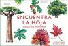 ENCUENTRA LA HOJA (JUEGO DE MEMORIA)
