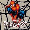 EL MUNDO SEGÚN SPIDER-MAN